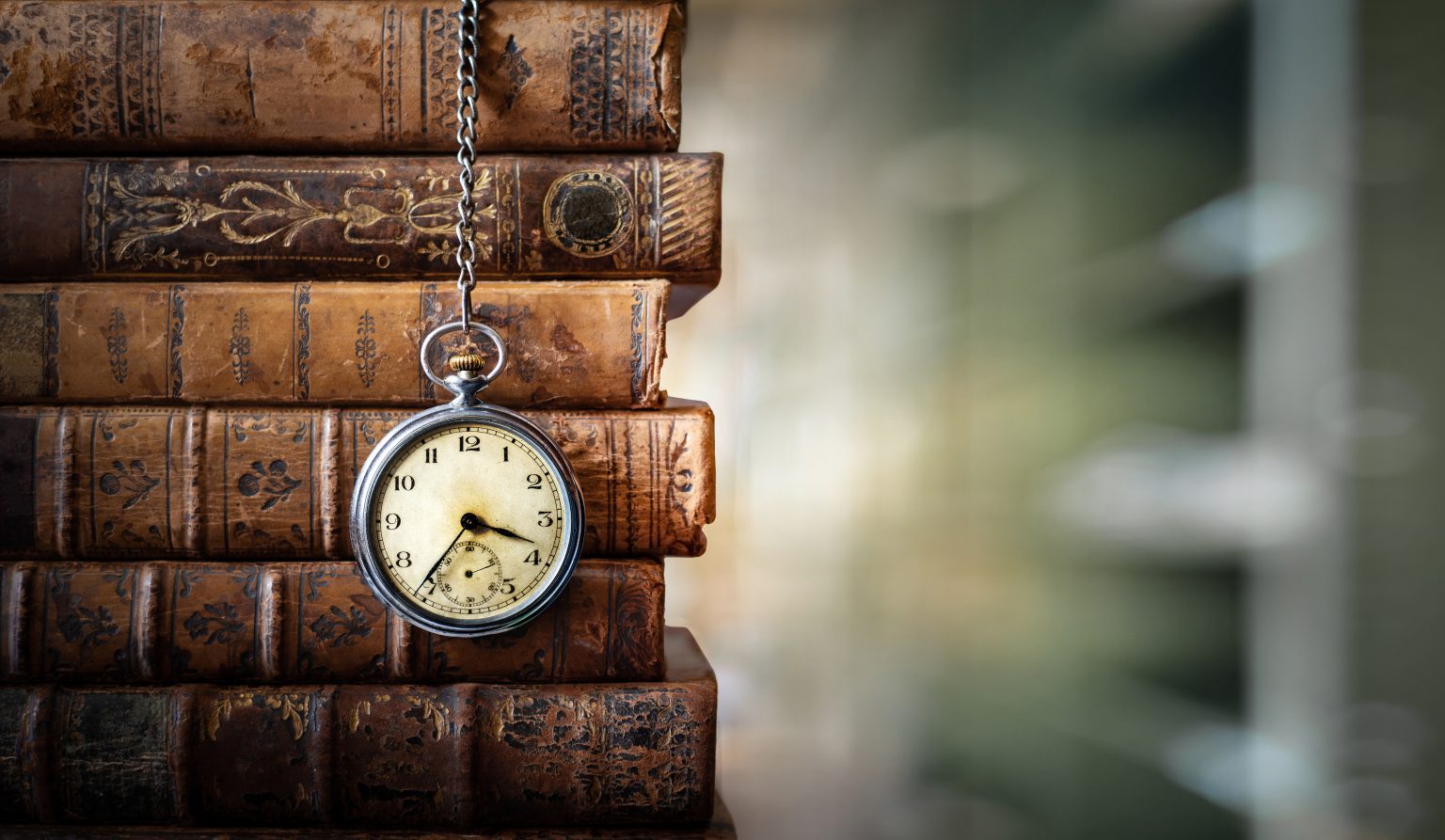 image credit: Celadon Books